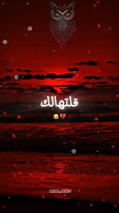 335K views · 18K reactions | #280k #فوبيا #بومة #اكسبلور #python #puzzle | Jokar | Facebook