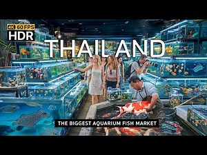 🇹🇭 4K HDR | Inside World’s *LARGEST* Aquarium Fish Market 2026 - Bangkok Fish Market