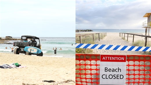A Man Has Died During A Shark Attack At Dee Why In Sydney’s Northern Beaches