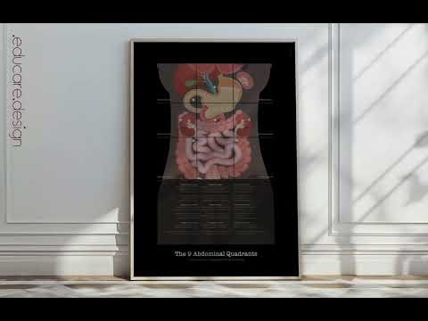 The 9 Quadrants of Abdomen Anatomy Chart (Black Edition)