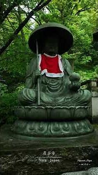 あじさゐ回廊 長谷寺「嵐の坂」と呼ばれる石段に300鉢のあじさいが圧巻。境内は想像よりも広く、歴史を感じる自然豊かな寺🛕いつ訪れても心が和みます。20250601