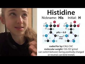 Histidine biochemistry - why it's my favorite amino acid and why you may see it drawn many ways