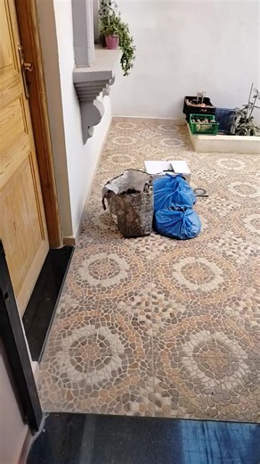 Vidéos de call me nosa (@nosa6920) avec Lala Mama - Eljoee & CHAAMA