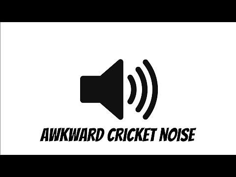 Awkward Cricket Noise Sound Effect