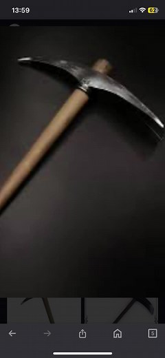 ベネズエラツルハシの詳細調査