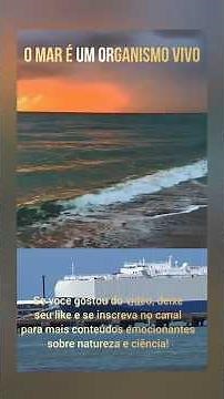 O oceano não é um organismo vivo do ponto de vista biológico. #oceano, #organismo, #vistabiológico