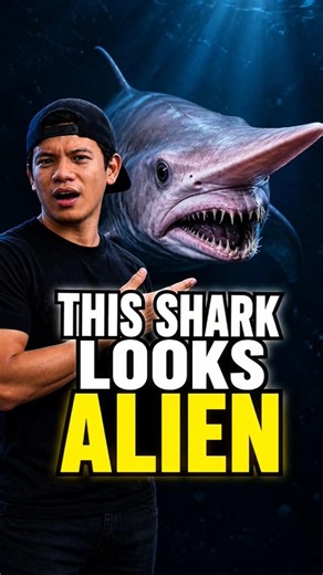 THIS SHARK LOOKS ALIEN
