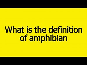 what is the definition of amphibian