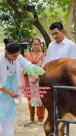 Dairy Training |Artificial InseminationTraining |Al Maitri Course |100%PracticalTraining