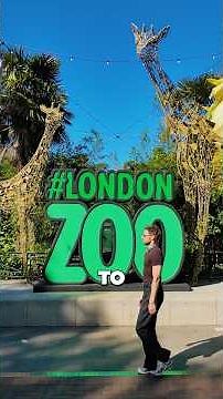 Visiting London Zoo During Its 200th Anniversary! 🦒🇬🇧 | Zoo Tours #shorts