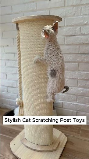 Stylish Cat Scratching Post: The Ultimate Toy for Your Feline Friend!
