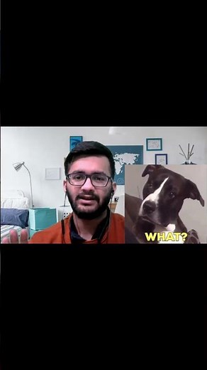 Array vs. Vector || |Teaser| All you need to know || C++ || STL ||