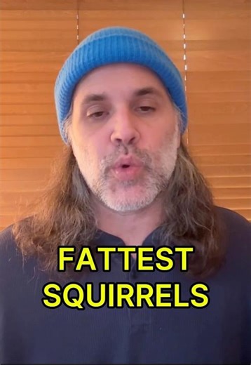 Bird Feeders Are Just Buffets for Squirrels 😂 | Clean Stand-Up Comedy