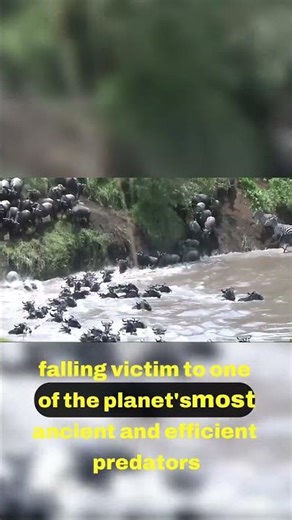 Ancient Predators of the Amazon A Different Game 🌊