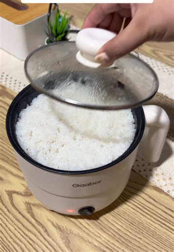 Mini Multifunctional Rice Cooker Review