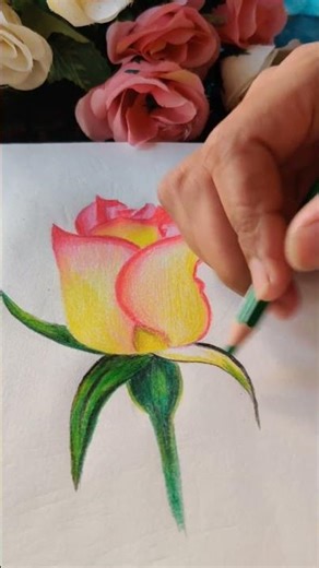 How to Draw a Beautiful Rose 🌹 with Colour pencil/ Drawing Tutorial.#art #drawing #trending #shorts