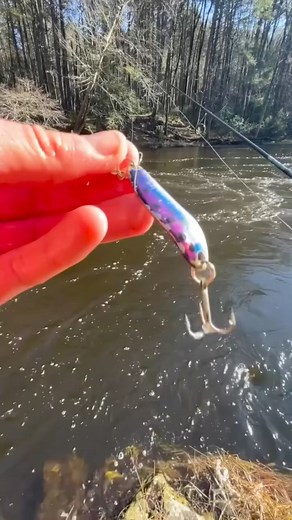 3.1K views · 66 reactions | How to Catch the MONSTERS! | The Skye Life - Fishing and Outdoor Adventures | Facebook