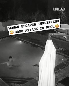 593K views · 2.5K reactions | Thes aligator and crocodile encounters are intense...   | UNILAD | Facebook