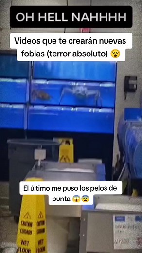 16K views · 119 reactions | Creepy creature. .. . .. #dark #horror #creepy #death #paranormal #leaked #mystery #darkweb #scary #creature | Unsolved Mysteries | Facebook