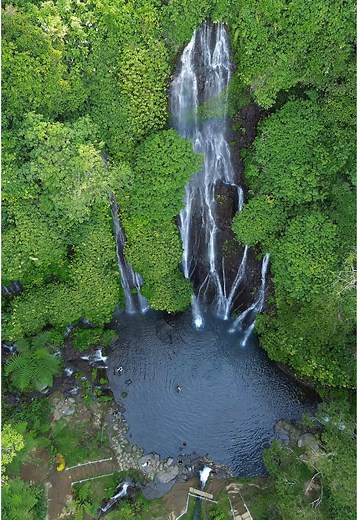 Exoticbaliisland on TikTok