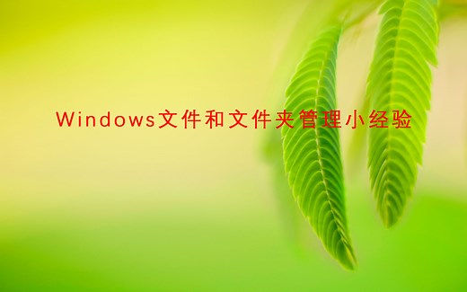 文件和文件夹管理使用经验分享