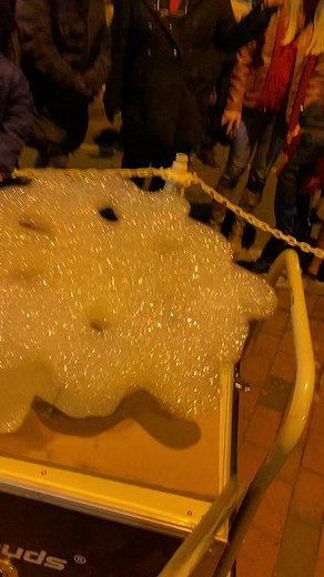 Magical Snowflake Fun at Christmas in Davidson 2022