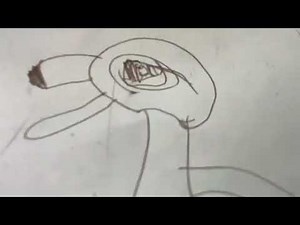 Gotta go flamingo blueberry inflation #blueberryinflation