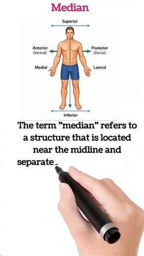 Median Antomical Position#youtubeshorts