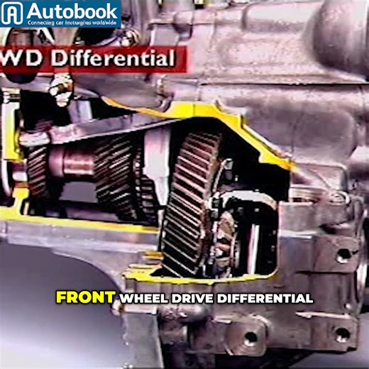 63K views · 752 reactions | Explore the inner workings of differentials and gear ratios! We delve into teeth number determination, gear ring adjustments, and transmission lubrication. Discover how these components function within a casing. Perfect for auto enthusiasts! #DifferentialGears #GearRatio #Transmission #FrontWheelDrive #AutomotiveEngineering #CarMechanics #DIYAuto #VehicleMaintenance #Gearbox #AutoRepair | Mechanic Jerome | Facebook