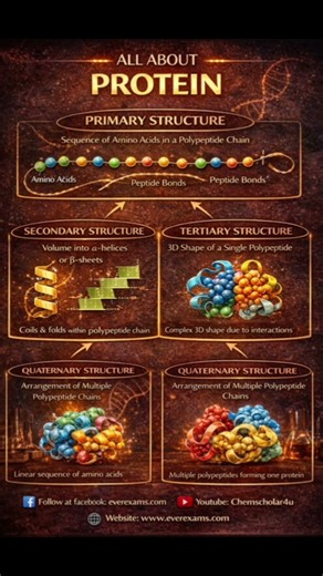 What is primary structure, secondary structure, tertiary structure structure of protein?