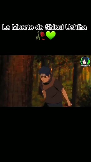 Cuentas recomendadas