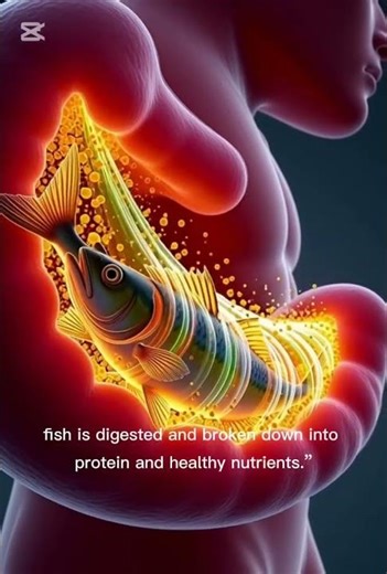 What Happens Inside Your Body When You Eat Fish? | 3D Animation
