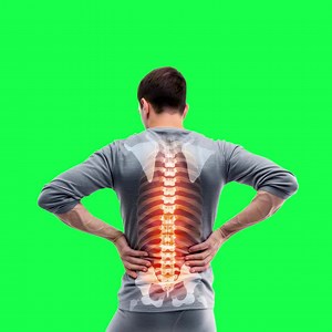 Back pain spine anatomy illustration animation, transparent 4K video, green screen | Premium Stock Video Footage