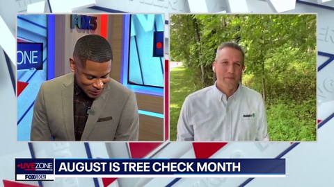 Spotted Lantern Flies continue to fascinate as they takeover MD