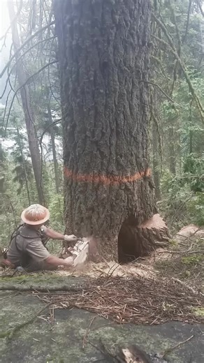 Gunung Semeru Meletus: Informasi Terbaru 19 November 2025