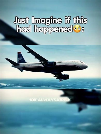 US Airways flight 1549😨 - What could have happened💔🫡