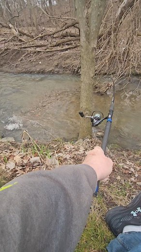 8K views · 782 reactions | Small creek trout fishing! | Big boy fishing | Facebook