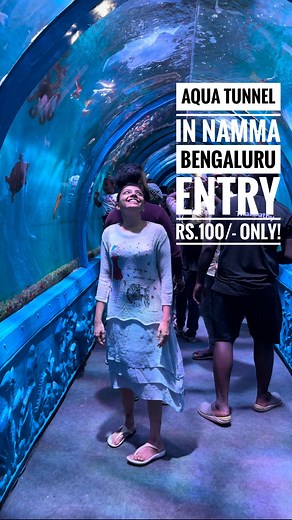 Dr.Priyanka Gopal | Bengaluru Content Creator on Instagram: "Aqua Tunnel in Namma Bengaluru!! Entry fee only Rs 100/- 🔸Mesmerising marine life 🔸Aquarium collection with variety of fishes. 🔸Robotic animal kingdom 🔸Over 25 rides & fun games 🔸3D photo gallery 🔸3D show/Scary house 🔸Shopping 🔸Food stalls etc… It’s a budget friendly fun experience for the whole family!! Kids would love it here! 🔸Entry fee Rs.100/- 🔸Scary house entry fee Rs.50/- 🔸Timings 4-9pm 🔸Till May 31st 2023 Location: 