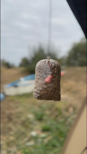 📉 DROP-OFF Solid Bag Rig 🎣 https://www.omctackle.com/blogs/fishing-articles-videos/why-i-use-pva-bags-every-time-i-go-carp-fishing-jordan-laflin Fishing in a snaggy or weedy environment 🌿 and want to drop your inline leads? 🤔 Here’s how our Solid PVA Bag expert, @jordanlfishing , does it… 👀 Jordan utilises the groove on the outside of our Inline Flat Pears 🍐 to create this setup, which he then attaches an Ammo Braid Slip-D Rig to, complete with the Dazzlers Aligner ✨ and Lock Hook 🔐. This