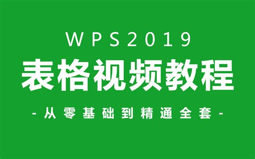 【表格教程】WPS全套新手自学教程，从零开始超详细讲解（完结）