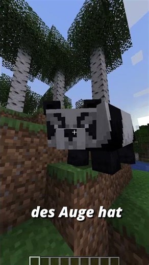 Diese Panda Fakten musst du kennen! #shorts