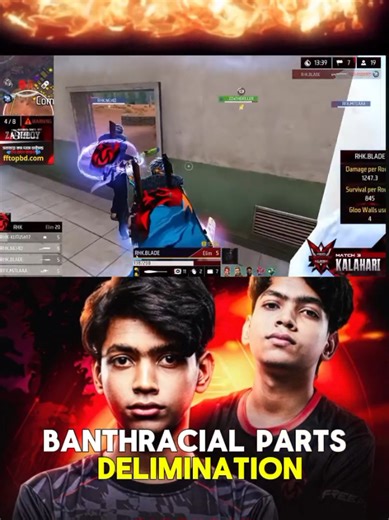 RHK Blade Overview and Features