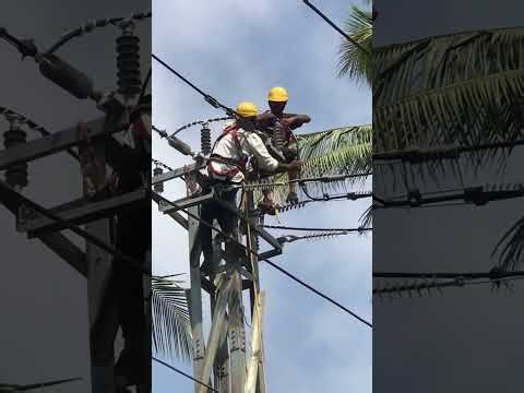 Stringing of Covered conductors