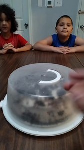 18K views · 409 reactions | Oreo cookie cake review! | Lauren And Angel | Facebook