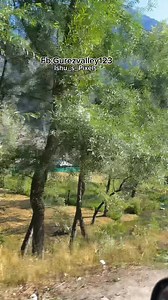 Gurez Valley | Ｇｕｒｅｚ Ｐａｒａｄｉｓｅ