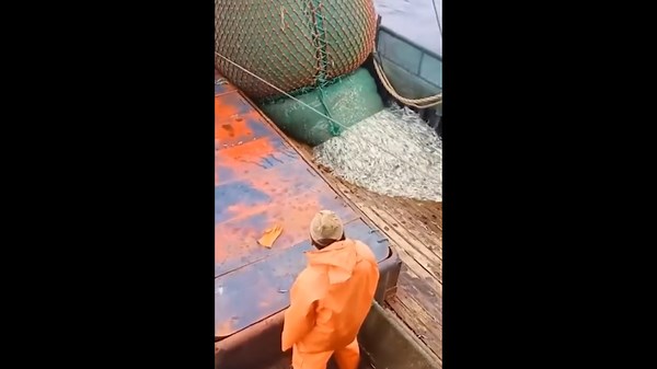 Satisfying Work with Sharp Tools