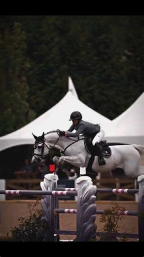 helo_orz | This song + showjumping = 😍😍 -15% at Icavalos (link in bio) with the code HELO_ORZ15% #helo_orz #trending #viral #viralvideos... | Instagram