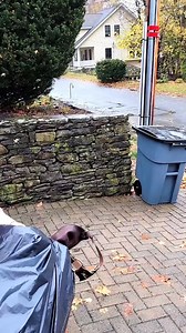 I've had enough #fatherdaughter #dadsofinstagram #dadsbelike #humor #dadsanddaughters #dadjokes #woodworking #thisoldhouse #carpentryskills #woodworkingcommunity #bluecollar #boston | Painting With bbbb