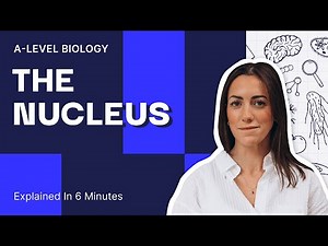 Everything You Need To Know About The Nucleus | AQA A-Level Biology