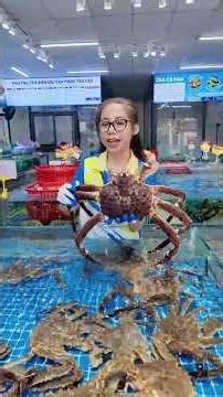 Tin được không? KingCrab sống khoẻ mà chỉ có hơn 1tr5xx thôi